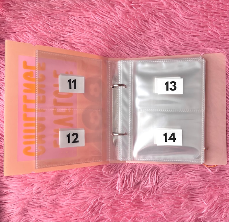 100 Envelope Cash Stuffing Savings Challenge Binder