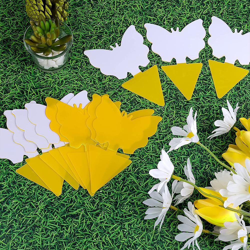 Yellow Sticky Fruit Fly Traps