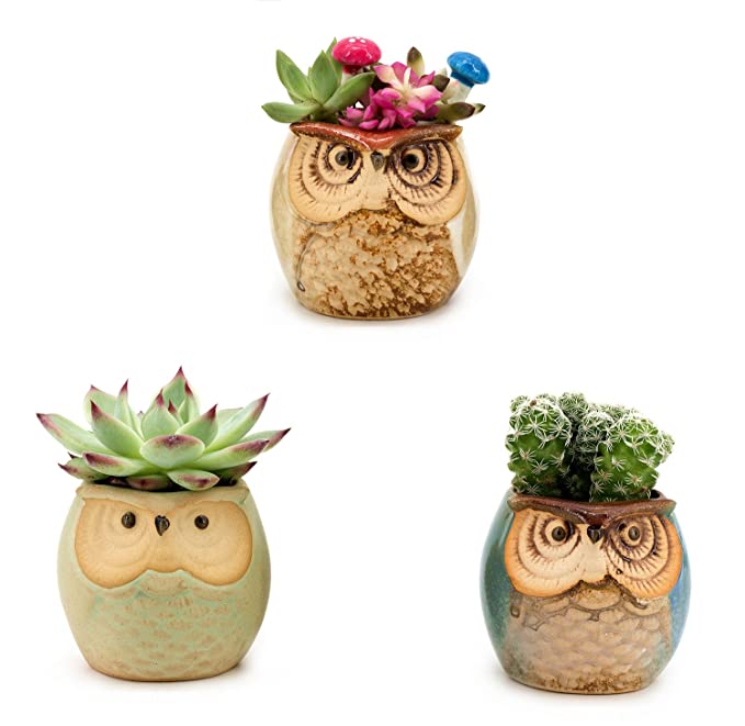 🦉Owl Pot Ceramic Succulent Plant Pot
