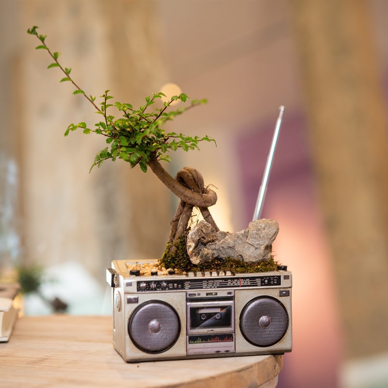Quirky Tape Recorder Shaped Planter - The Perfect Home For Small Plants