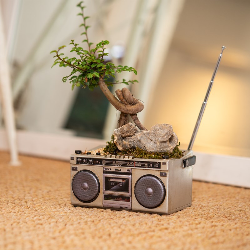 Quirky Tape Recorder Shaped Planter - The Perfect Home For Small Plants