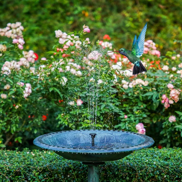 (🔥Hsale Sale- SAVE 48% OFF🔥) Solar-Powered Bird Fountain Kit