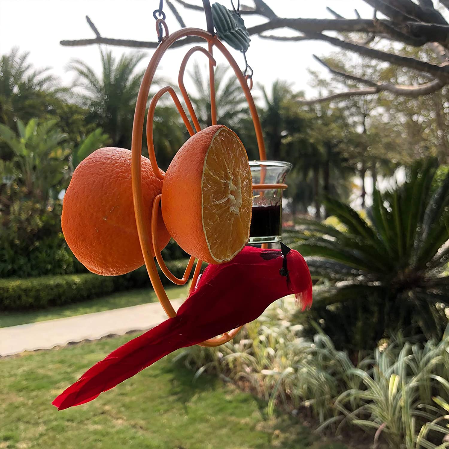 2 in 1 Hanging Clementine Hummingbird Oriole Feeder