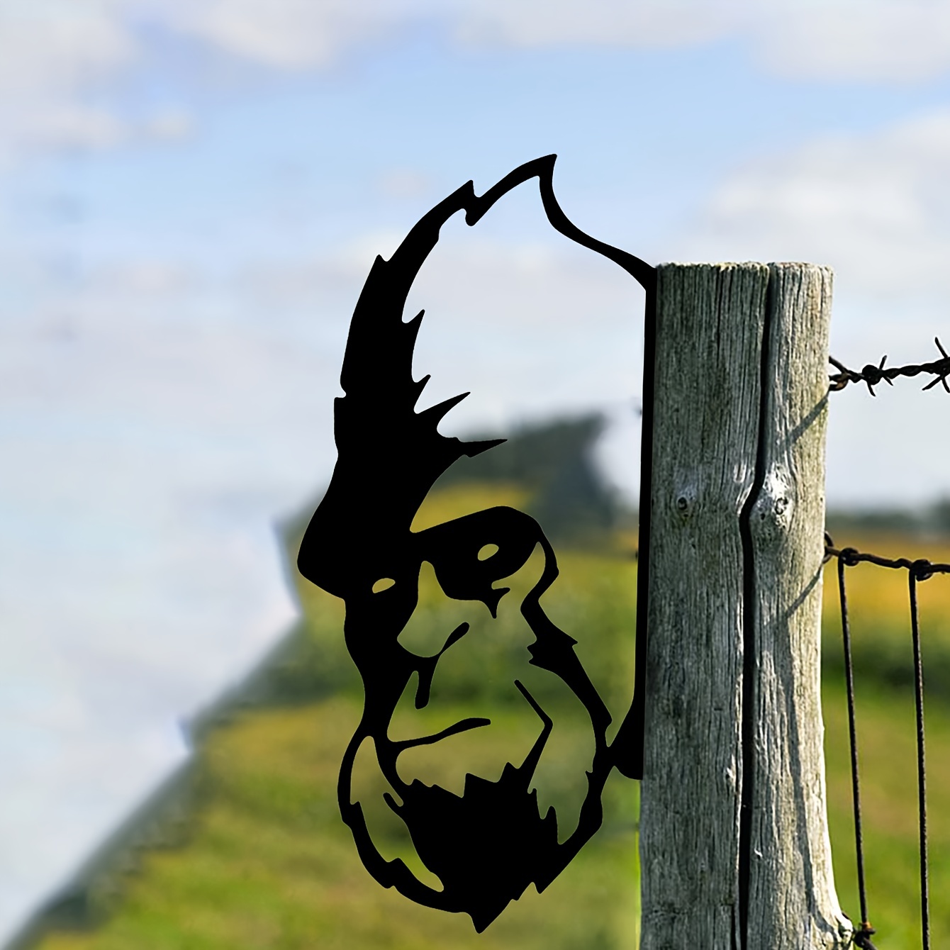 😝Animal Metal Silhouette Ornament