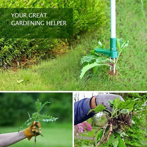 🔥HOT SALE🔥-Standing Plant Root Remover