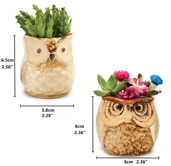 🦉Owl Pot Ceramic Succulent Plant Pot