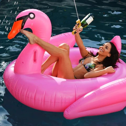 Champagne Gun &brvbar; Champagne Wine Shooter &brvbar; Beer Sprayer Gun A Wine Lovers