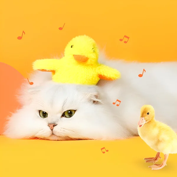 🐱Summer Hot Sale-48% Off 🔥 Cat Toys Rechargeable Flapping Duck🐱