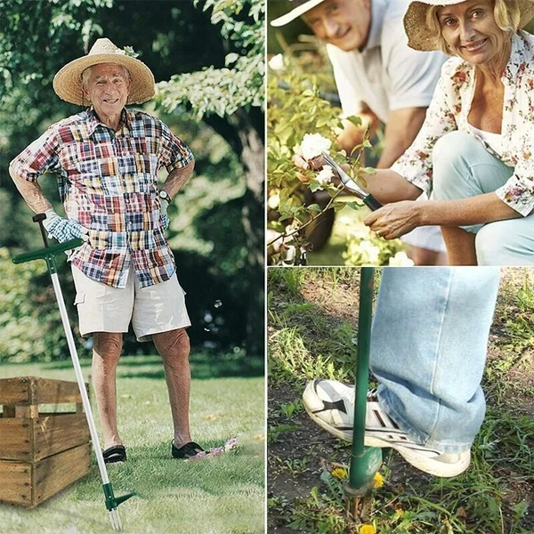 🔥HOT SALE🔥-Standing Plant Root Remover