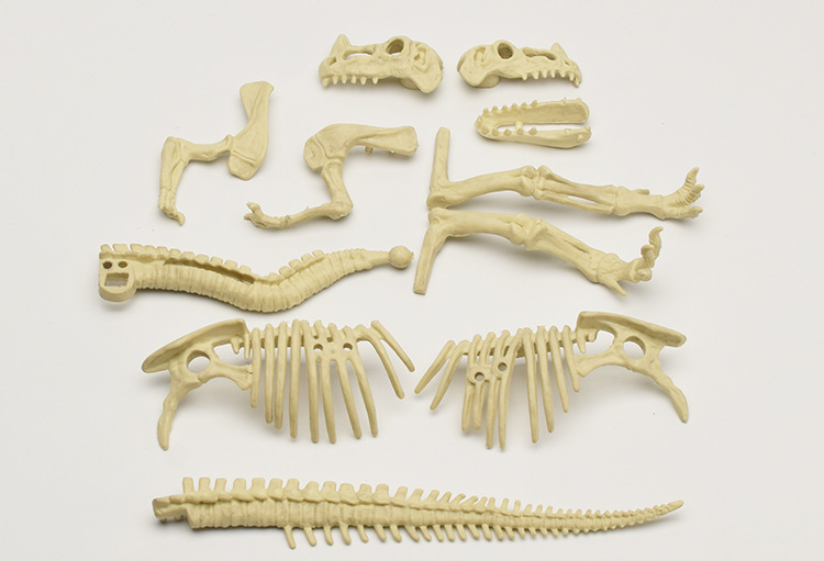 🦖 Dinosaur Fossil Digging Kit