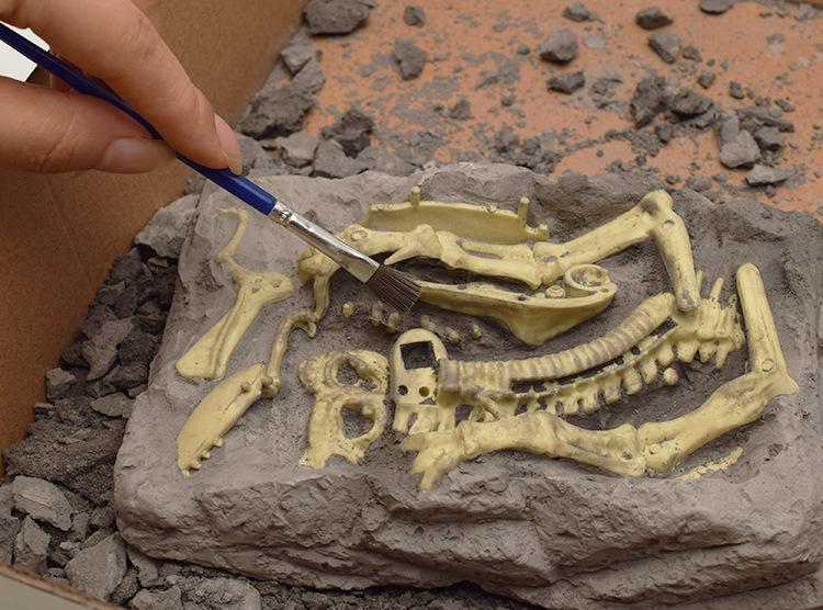 🦖 Dinosaur Fossil Digging Kit