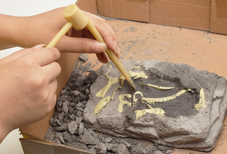🦖 Dinosaur Fossil Digging Kit