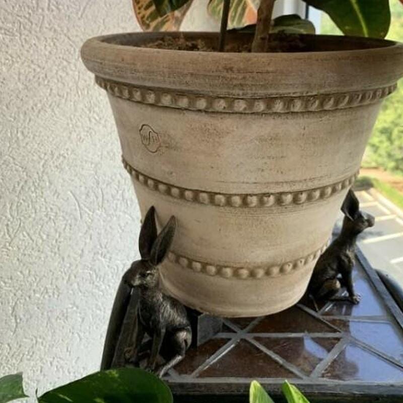 💥New Year's Promotion💥-🐇🐇Cute Animal Shaped Potty Feet (Set of 3)