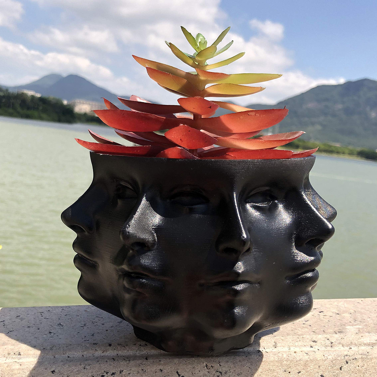 Polyface Planter