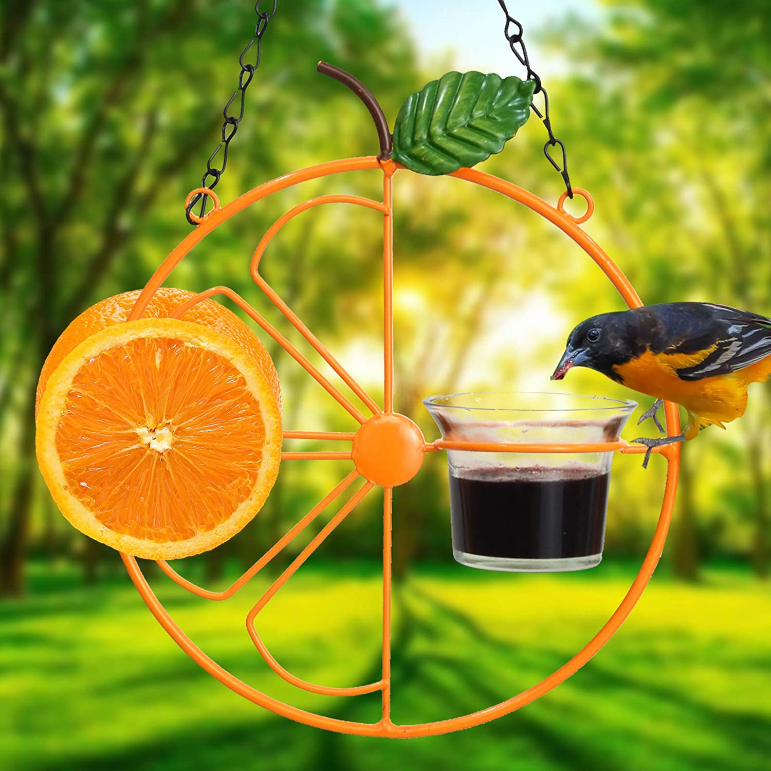 2 in 1 Hanging Clementine Hummingbird Oriole Feeder