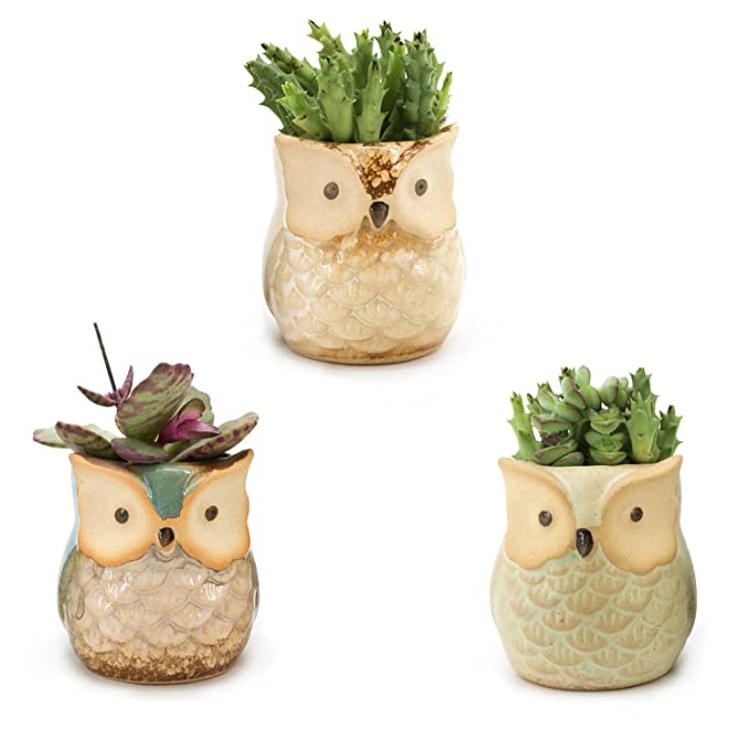 🦉Owl Pot Ceramic Flowing Glaze Base Serial Set Succulent Plant Pot