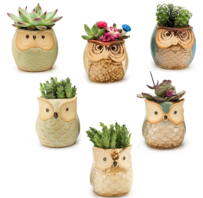 🦉Owl Pot Ceramic Succulent Plant Pot