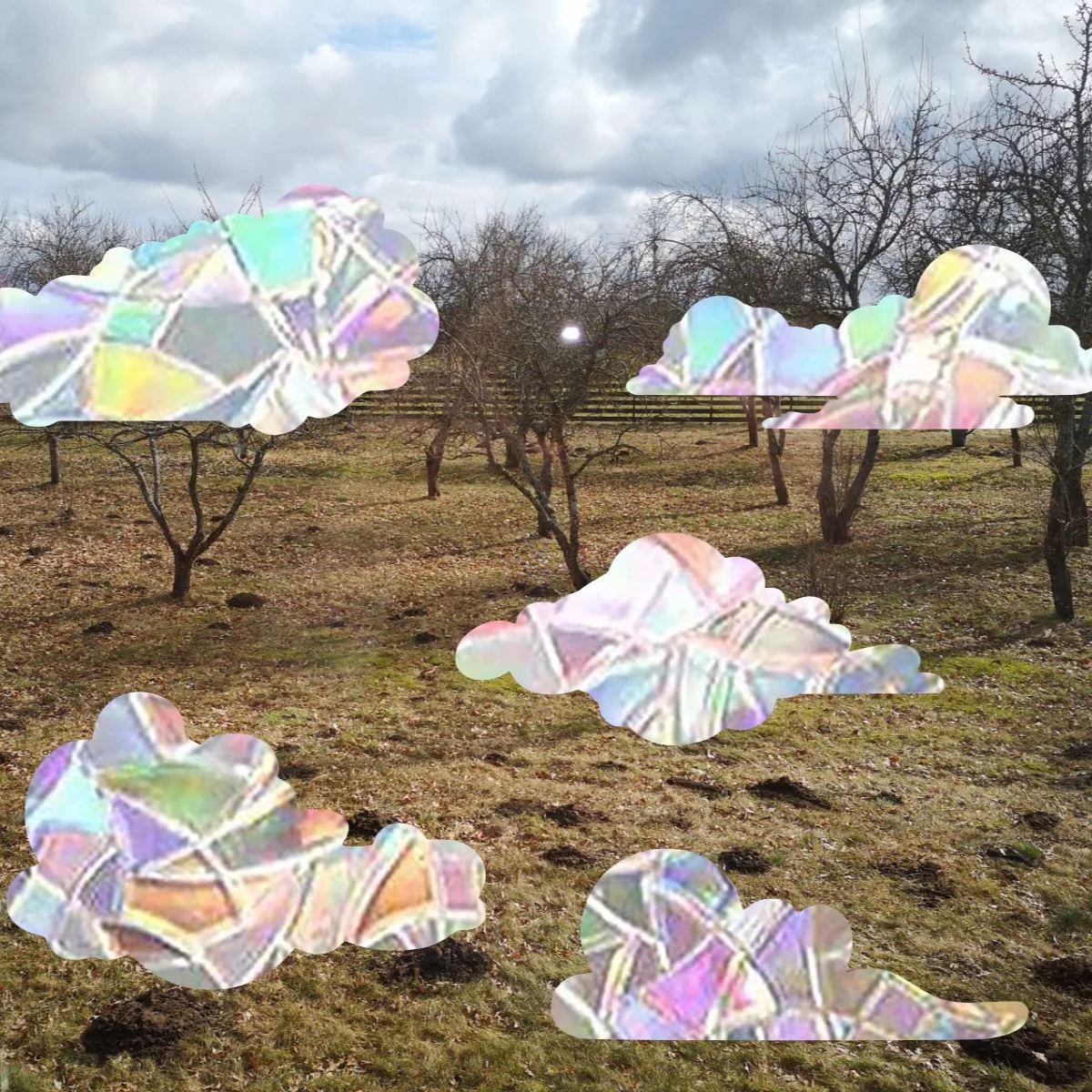 🌈Rainbow Film Anti-light Window Glass Sticker✨