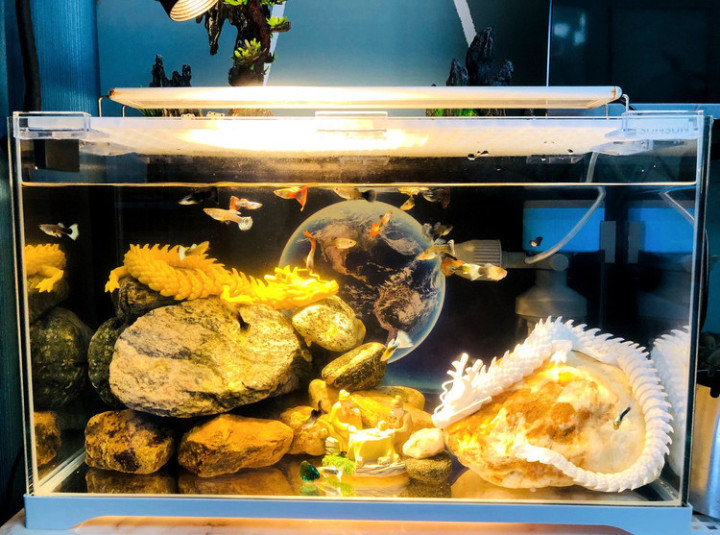 (🎄CHRISTMAS SALE NOW-48% OFF) 3D Printed Dragon