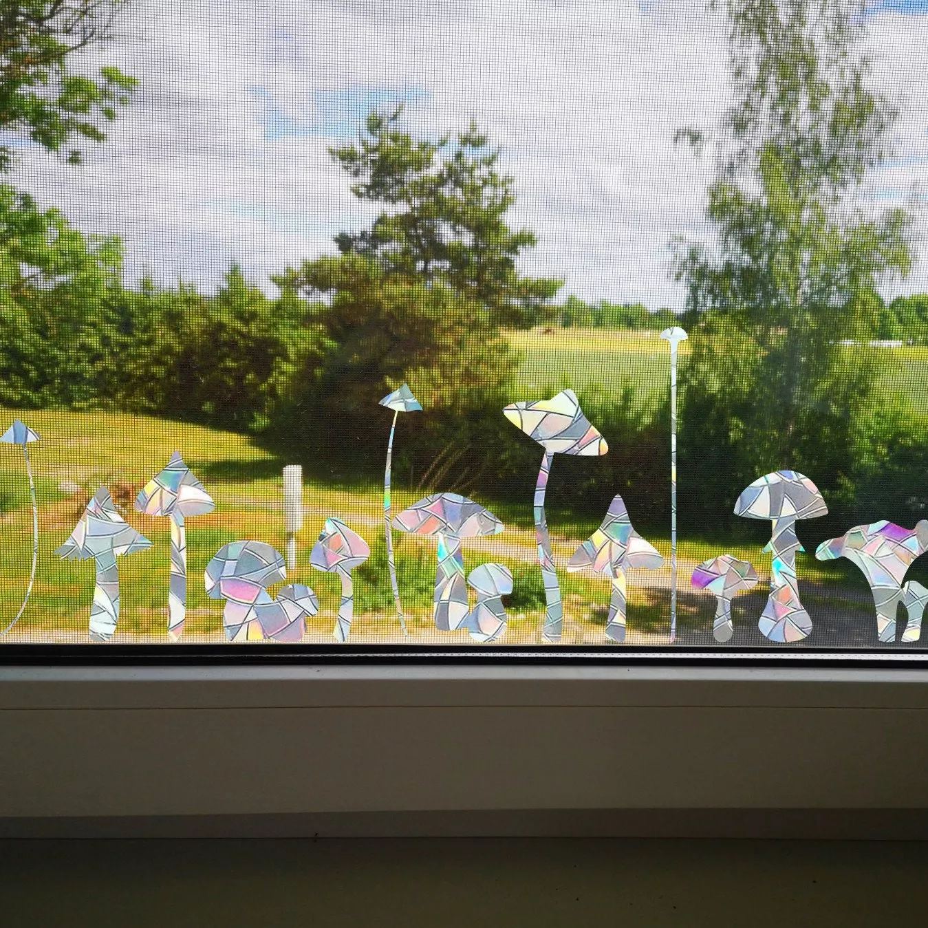 🌈Rainbow Film Anti-light Window Glass Sticker✨