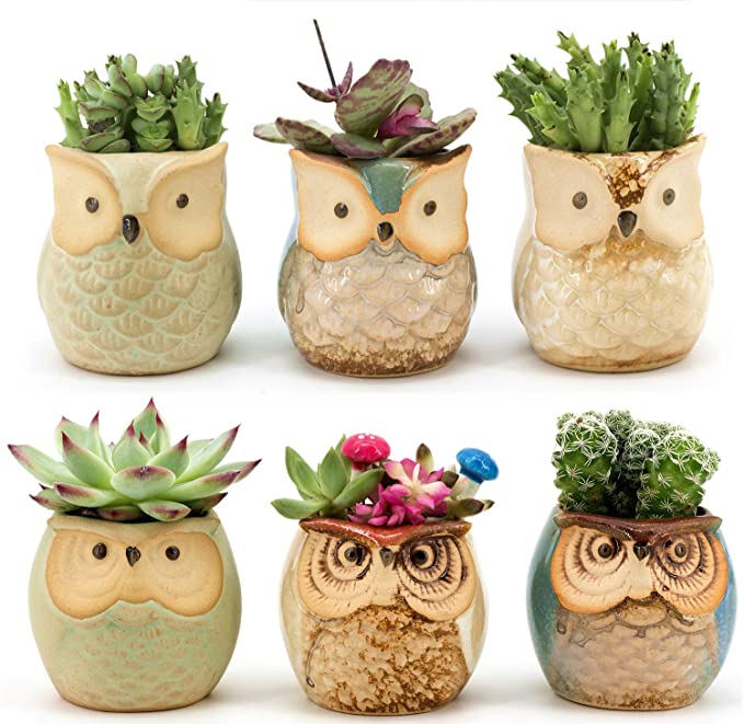 🦉Owl Pot Ceramic Succulent Plant Pot