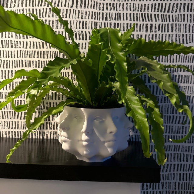 Polyface Planter