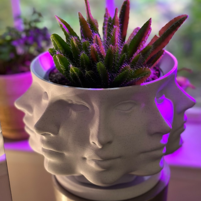 Polyface Planter