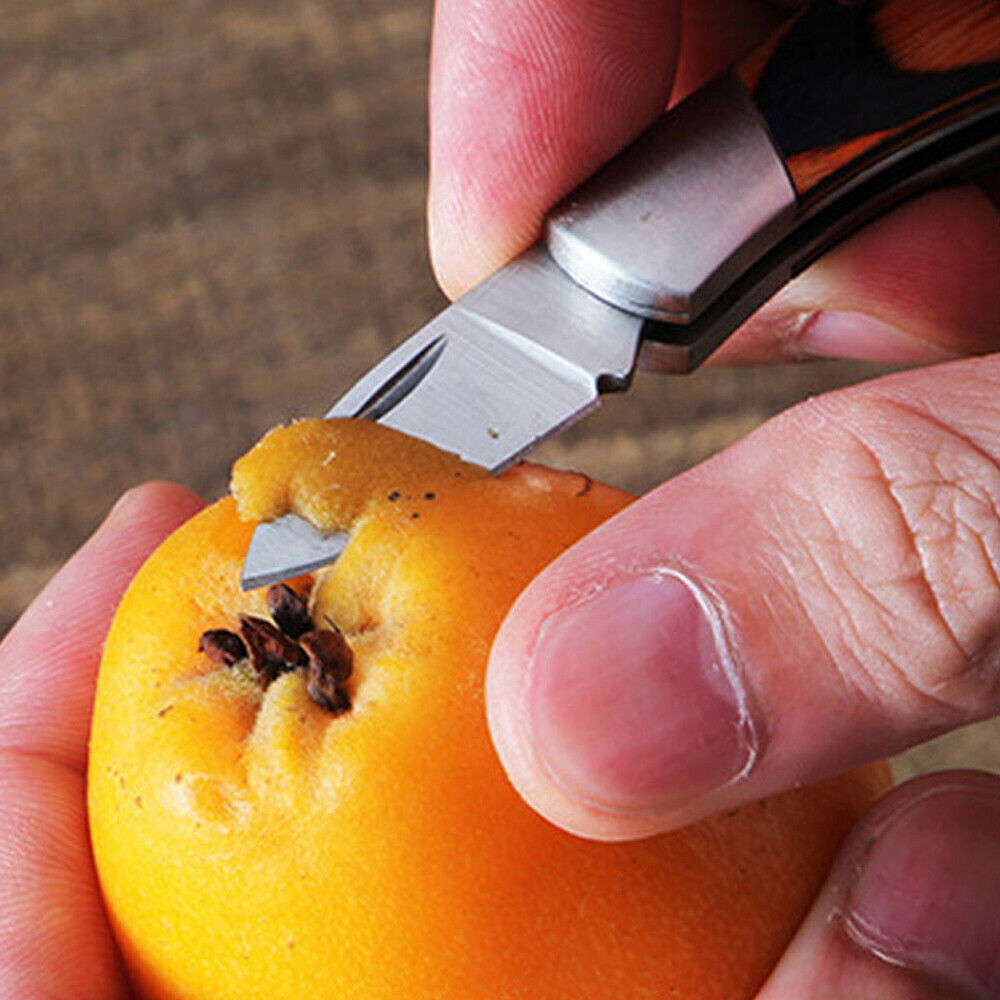 Mini Folding Knife Key Chain