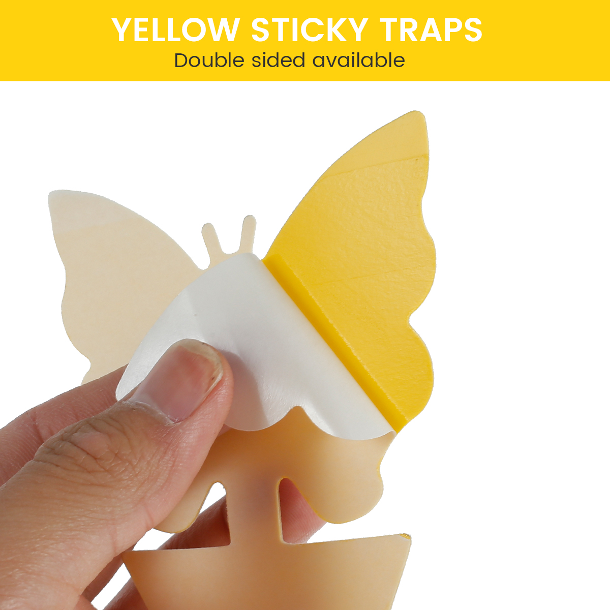 Yellow Sticky Fruit Fly Traps