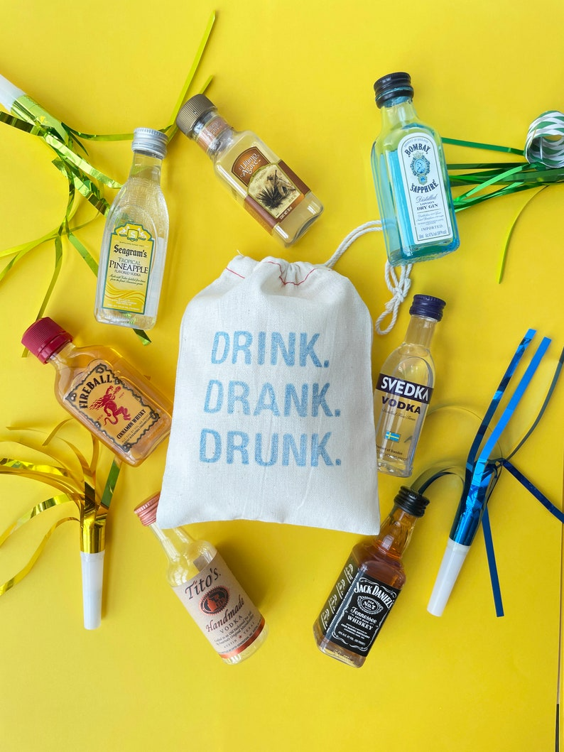 🥳Party Favor Bags🛍️(3Pcs) - Banishing Post-Celebration Hangover