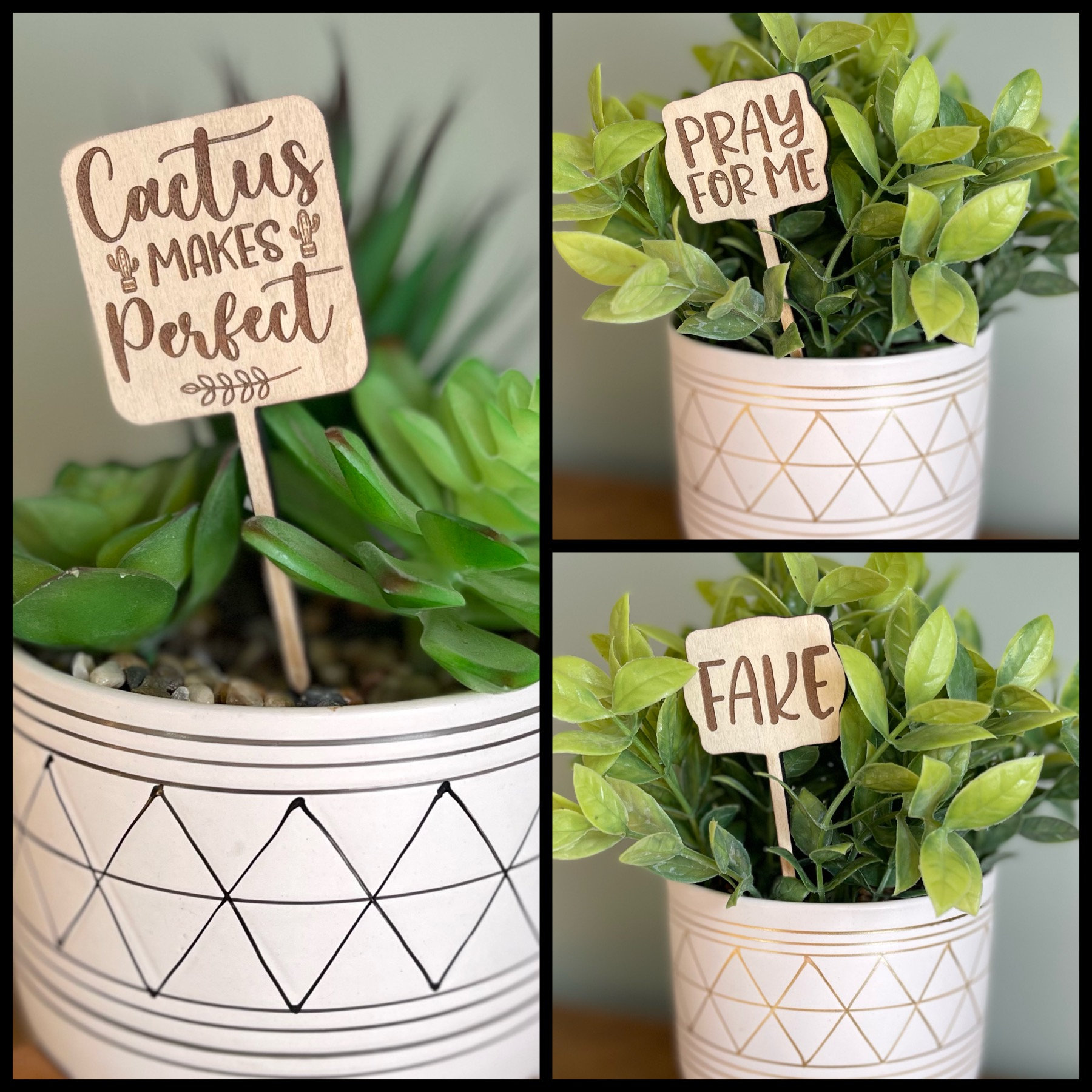 Funny Plant Markers