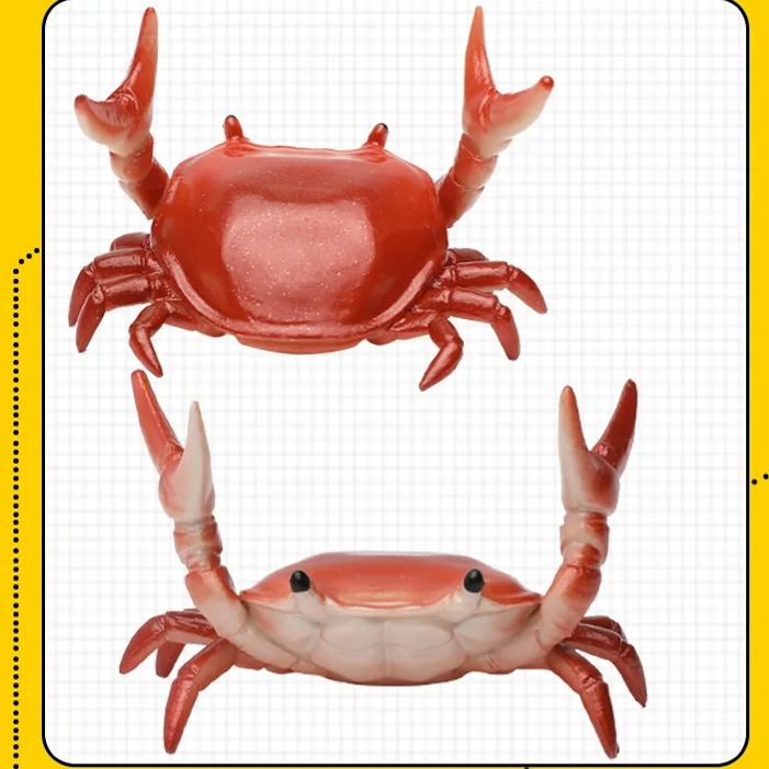 🦀Stationery Crustaceans - Weight Lifting Small Crab Pen & Glasses Holder