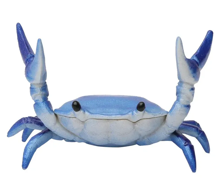 Stationery Crustaceans - Weight Lifting Small Crab Pen & Glasses Holder