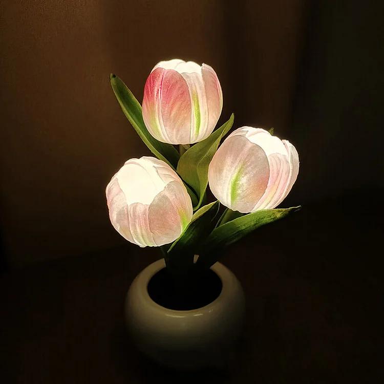 LED Tulip Night Light