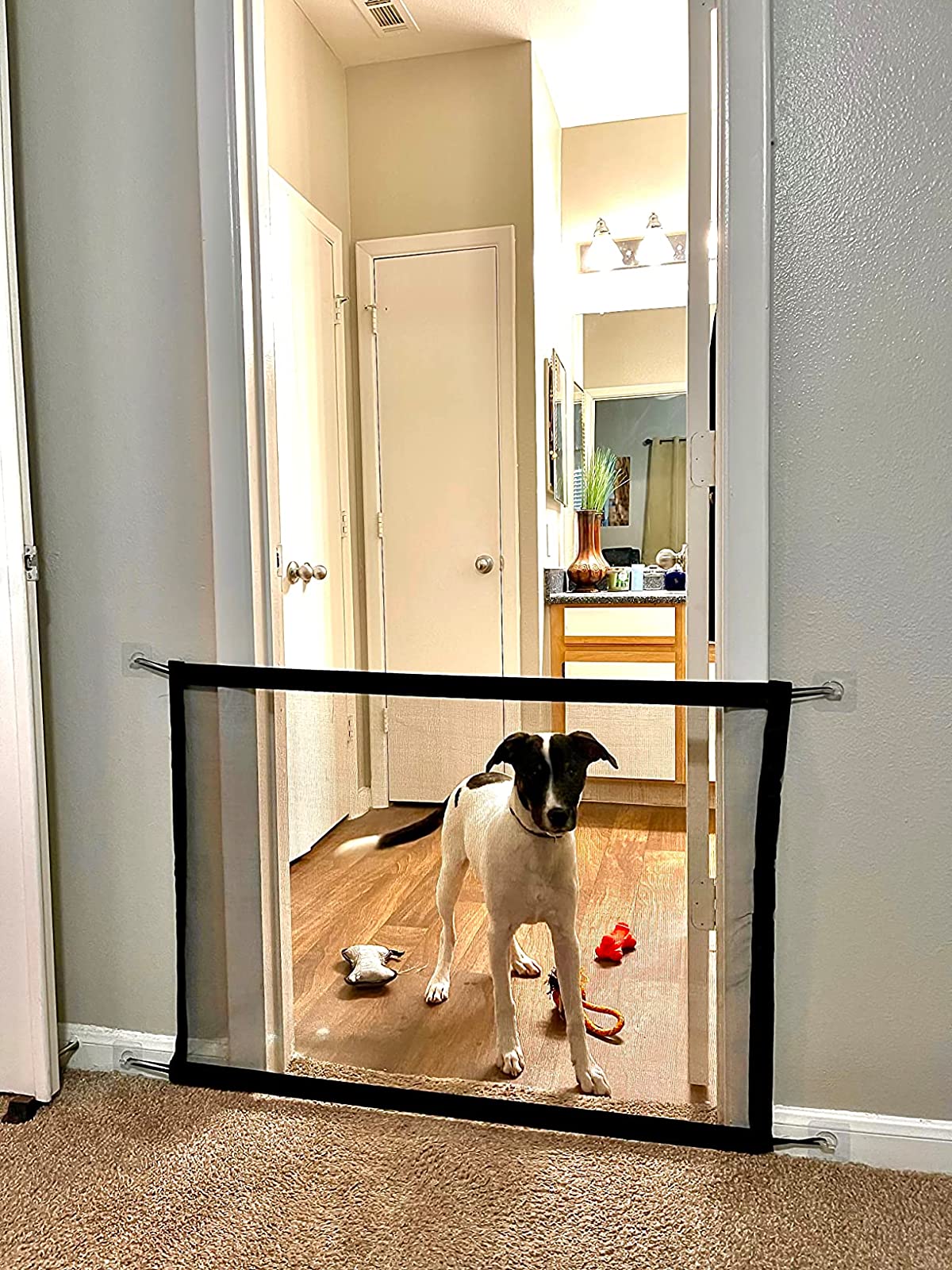 🐈Portable Kids &Pets Safety Door Guard🐕