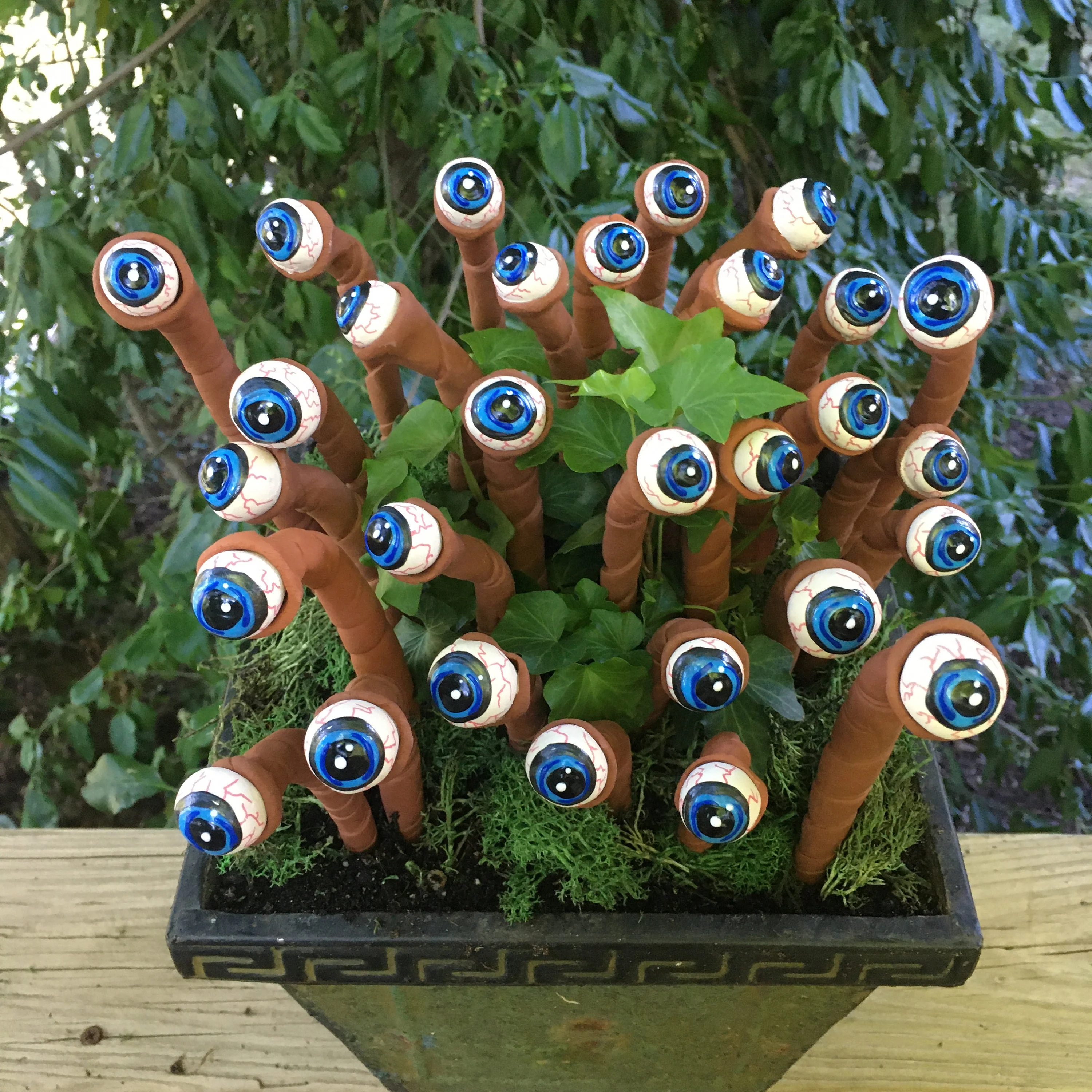 🎃Halloween Eyeball Plant Markers🎃