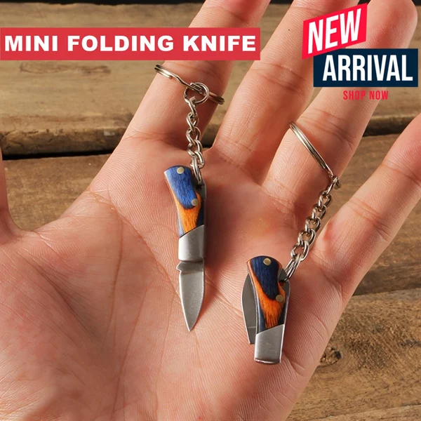 【🔥2023 BIG SALE--50%OFF】Mini Folding Knife Key Chain