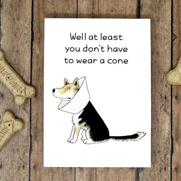✉Funny Get Well Card