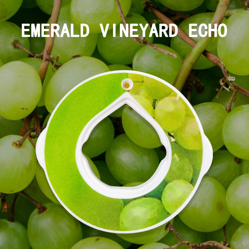 🔥2023 Hot Sale 50% Off 🍑Funny Portable Fruit Aromatherapy Water Bottle🥤