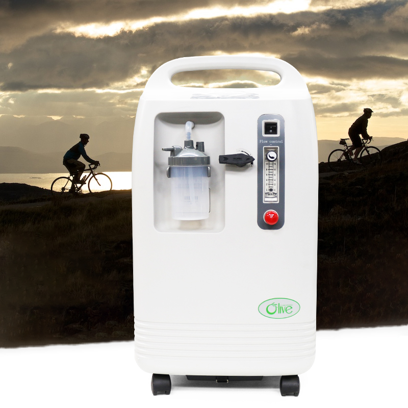 Hypoxic generator for altitude simulator