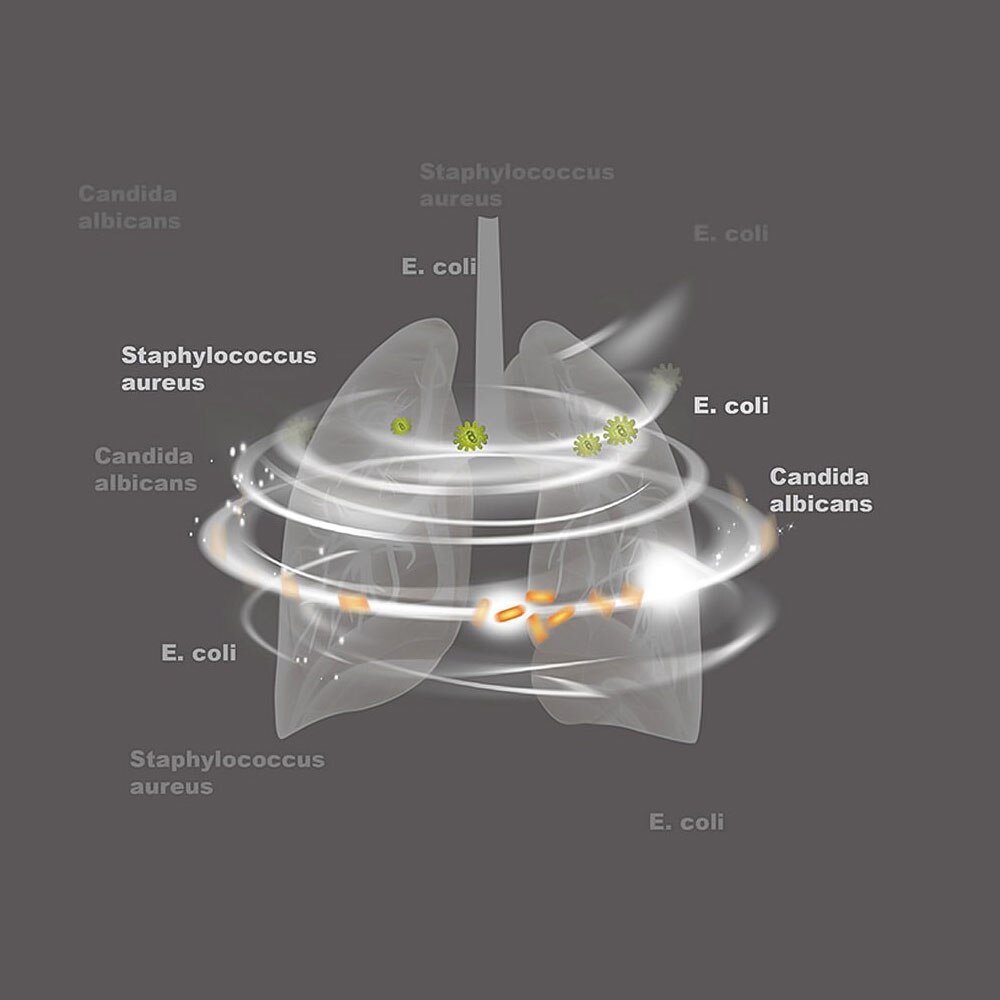 Home Cpap Bipap Respirator Sterilization