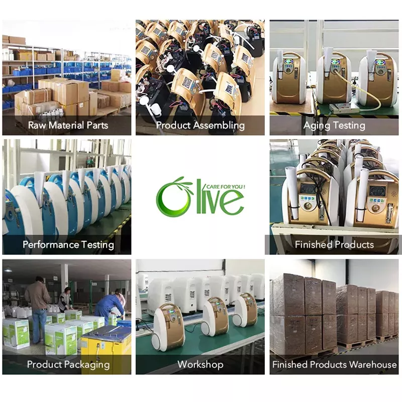 OLV-B1 3-in-1 Super Oxygen Facial Machine  