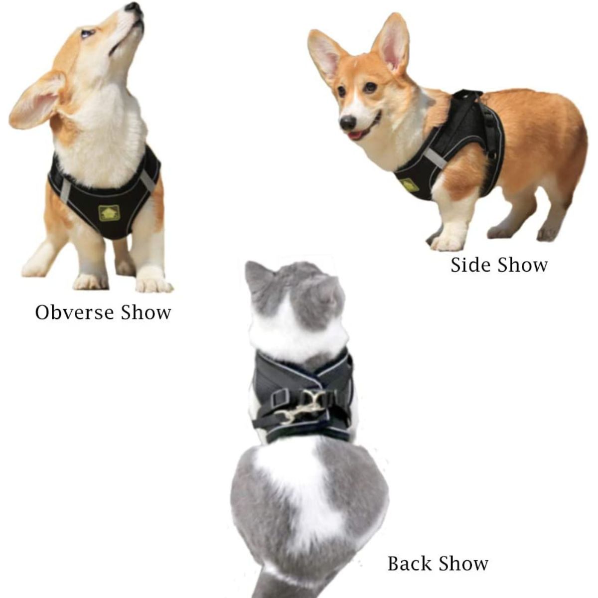 Reflective Dog Harness and Lead Set No-Pull Mesh Puppy Vest