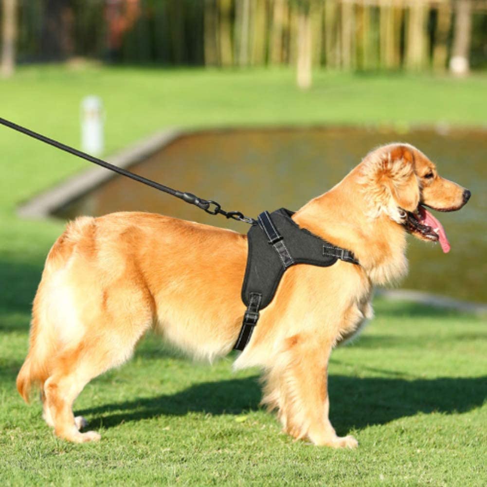 Reflective No Pull Harness with Handle for Medium Large Dog