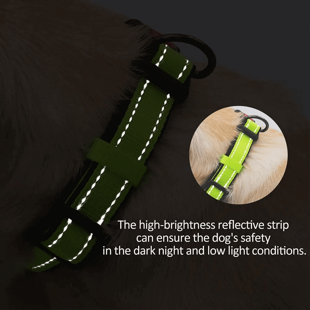 Reflective Dog Collar Adjustable with Safety Locking Buckle