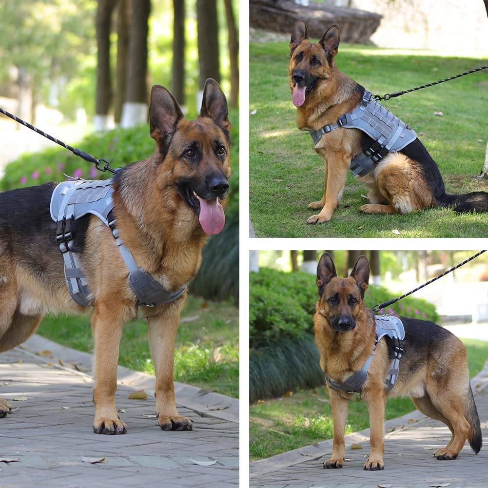 Military No Pull Service Dog Vest with Molle and Loop Panels