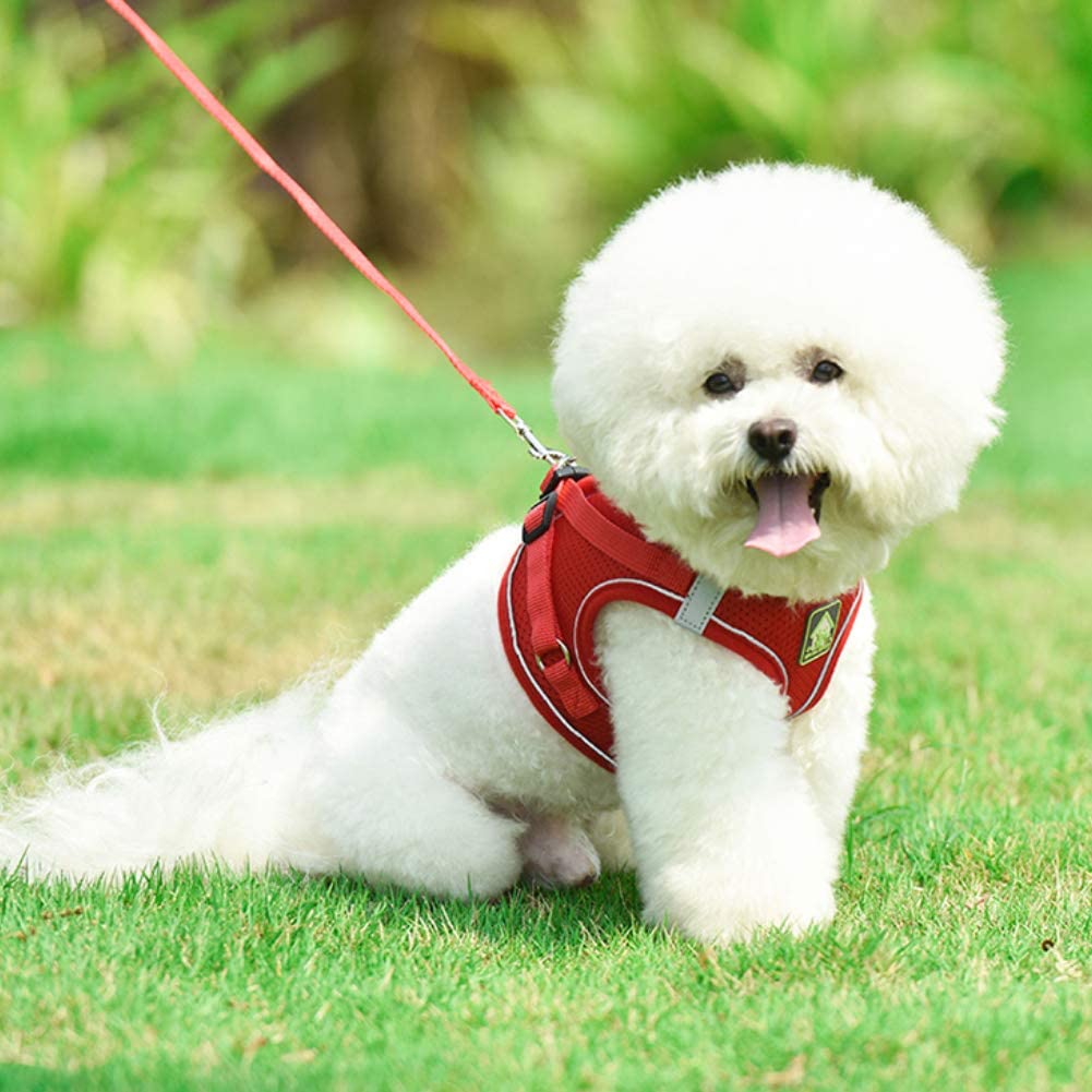Reflective Dog Harness and Lead Set No-Pull Mesh Puppy Vest