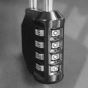 Travel Padlock Resettable 4 Digit Combination Lock Zinc Alloy Password Code Padlocks Waterproof Locker Safety Locks for Luggage Bag(1 Pair)