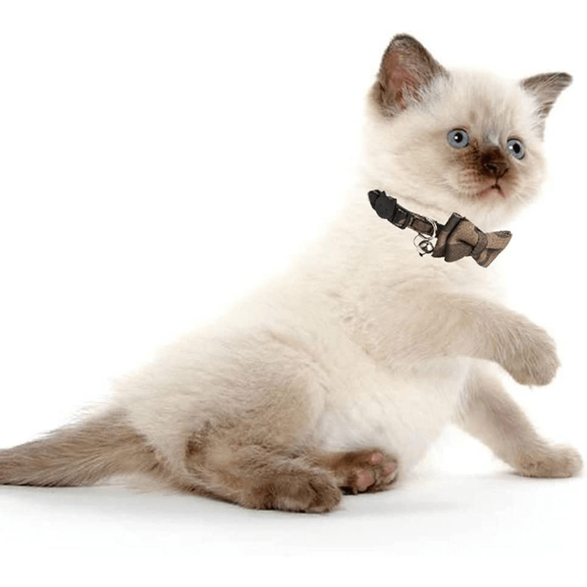 Adjustable Cat Collars with Bow Tie and Bell for Small Medium Pets
