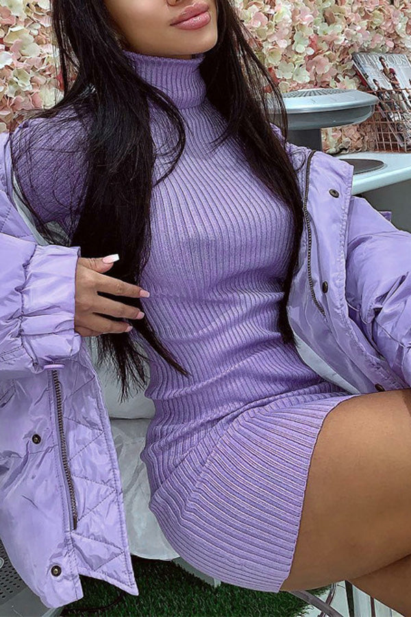 Fashion Knit Slim High Neck Long Sleeve Dress-yoyobikini